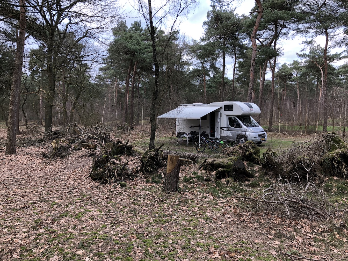 Alkoof Camper in Bos