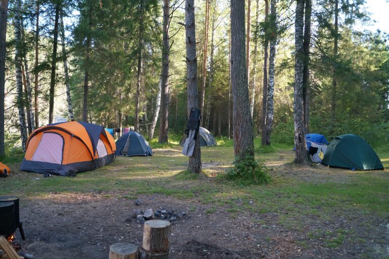 Wat kost een overnachting op een camping?