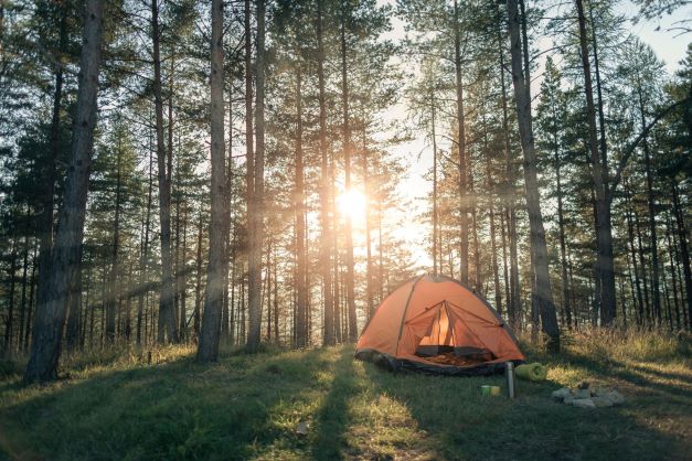 Wildkamperen met een tentje in het bos
